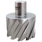 Broca-Anular-Dewalt-DT8411-XJ-50mm-x-30mm-Encaixe-Weldon