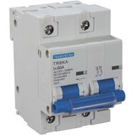 Disjuntor Tramontina TR6KA 2 P 80 A Curva C