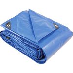 Lona-Reforcada-de-Polietileno-Vonder-Azul-15-M-X-10-M-Plus