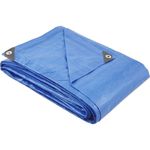 Lona-de-Polietileno-Vonder-Azul-2-M-X-2-M