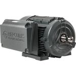 motor-monofasico-hercules-ip-55-2p-75cv-001